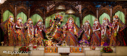 Daily Darshan