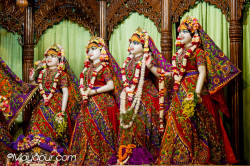 Daily Darshan