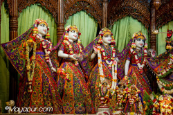 Daily Darshan