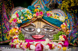 Daily Darshan
