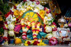 Daily Darshan