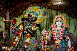 Daily Darshan