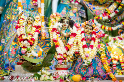 Daily Darshan