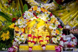 Daily Darshan