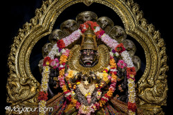 Daily Darshan
