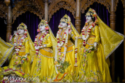 Daily Darshan