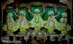 Daily Darshan