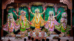 Daily Darshan