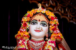 Daily Darshan