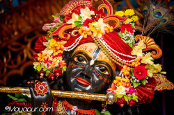 Daily Darshan