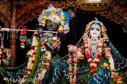 Daily Darshan
