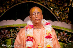 Daily Darshan