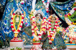 Daily Darshan