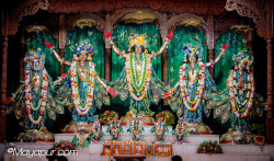 Daily Darshan