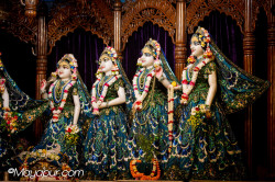 Daily Darshan
