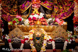 Daily Darshan