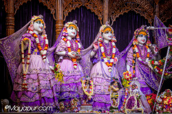 Daily Darshan