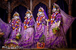 Daily Darshan