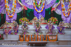 Daily Darshan