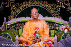 Daily Darshan