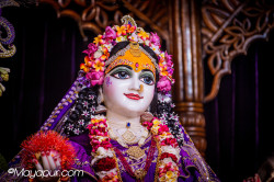 Daily Darshan