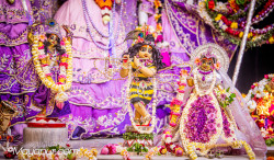 Daily Darshan