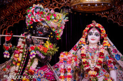 Daily Darshan