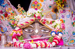 Daily Darshan