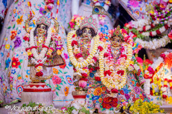 Daily Darshan