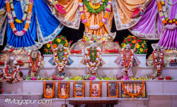 Daily Darshan