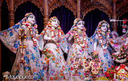 Daily Darshan