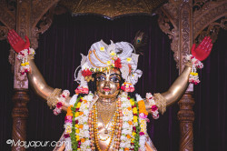 Daily Darshan