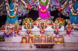 Daily Darshan