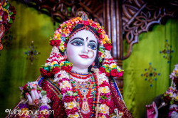 Daily Darshan