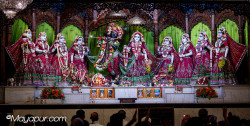 Daily Darshan