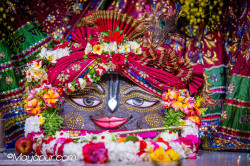 Daily Darshan