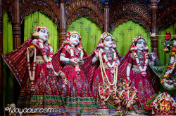 Daily Darshan