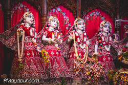 Daily Darshan