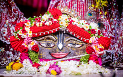 Daily Darshan