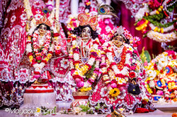 Daily Darshan