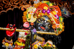 Daily Darshan