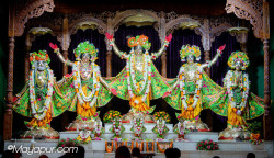 Daily Darshan
