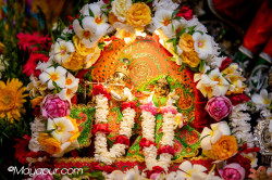 Daily Darshan
