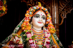 Daily Darshan