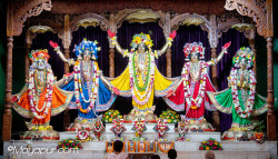 Daily Darshan