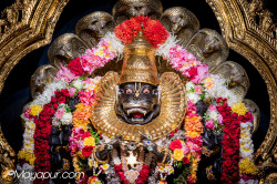 Daily Darshan