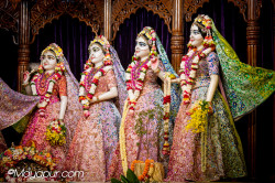Daily Darshan