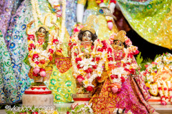 Daily Darshan