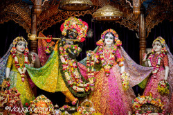 Daily Darshan