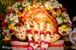 Daily Darshan